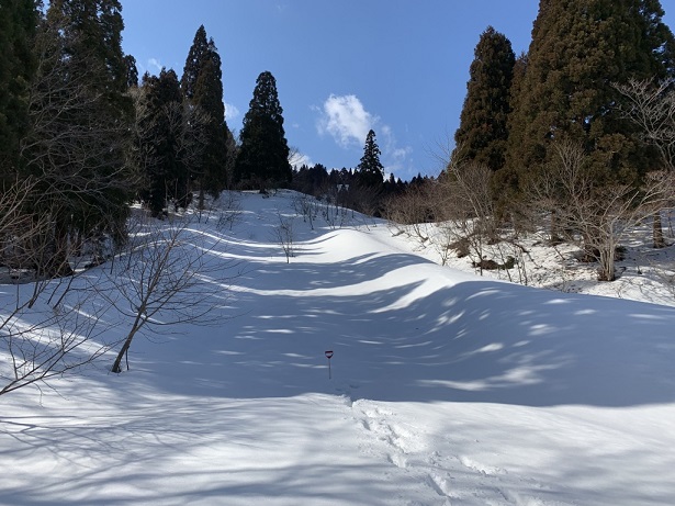 2019.02武奈ヶ岳、雪上訓練