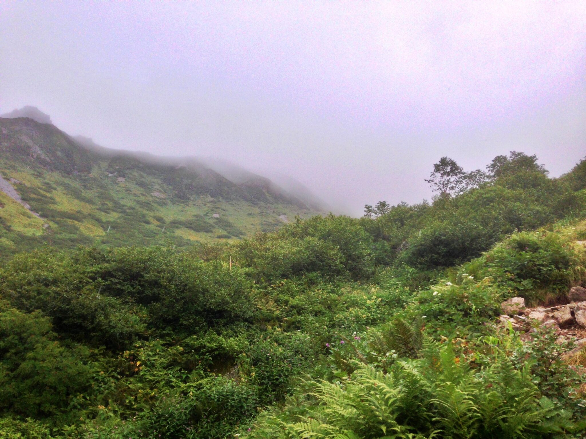 【登山歴6年】夏山での印象に残っている心温まる体験「5選」