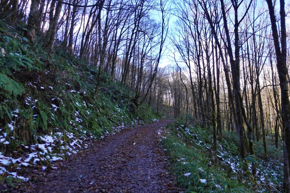 槍ヶ岳 中崎尾根 奥丸山 冬季 11月
